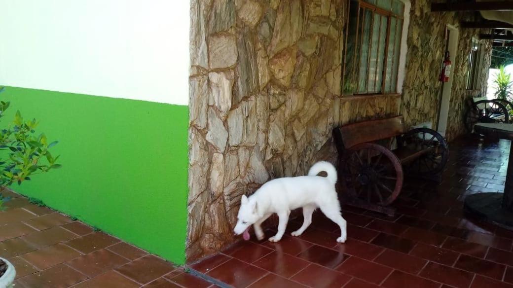 Pousada Naipi Foz do Iguaçu Exteriér fotografie